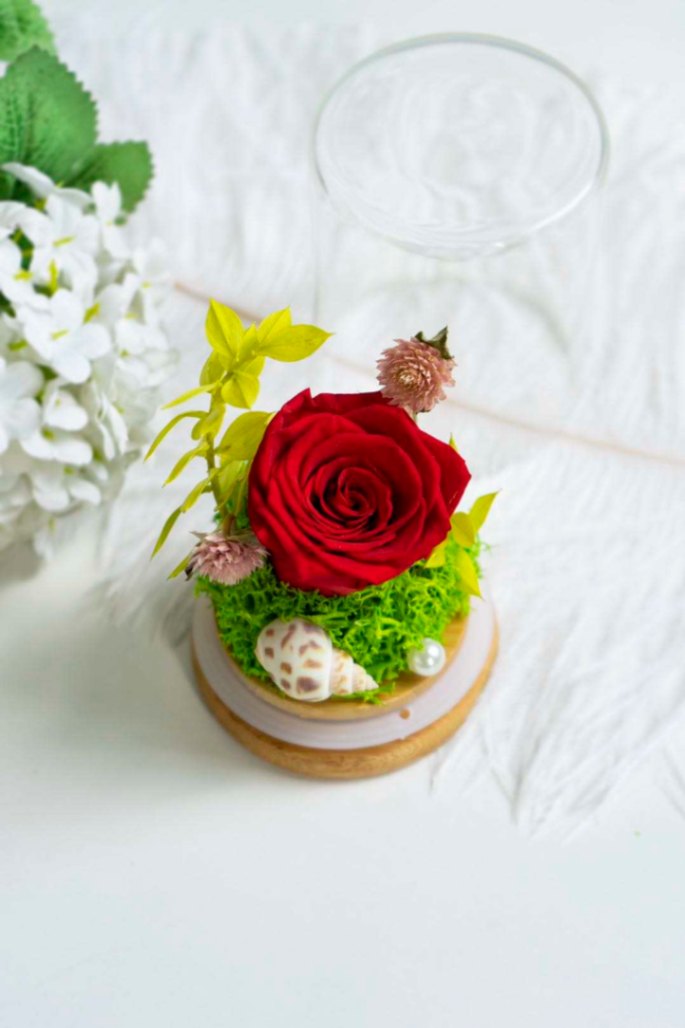 Crimson Rose Dome