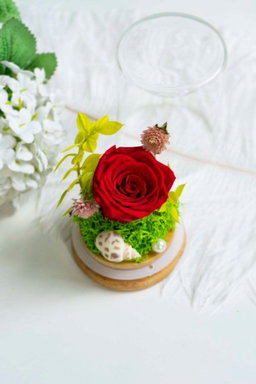 Crimson Rose Dome