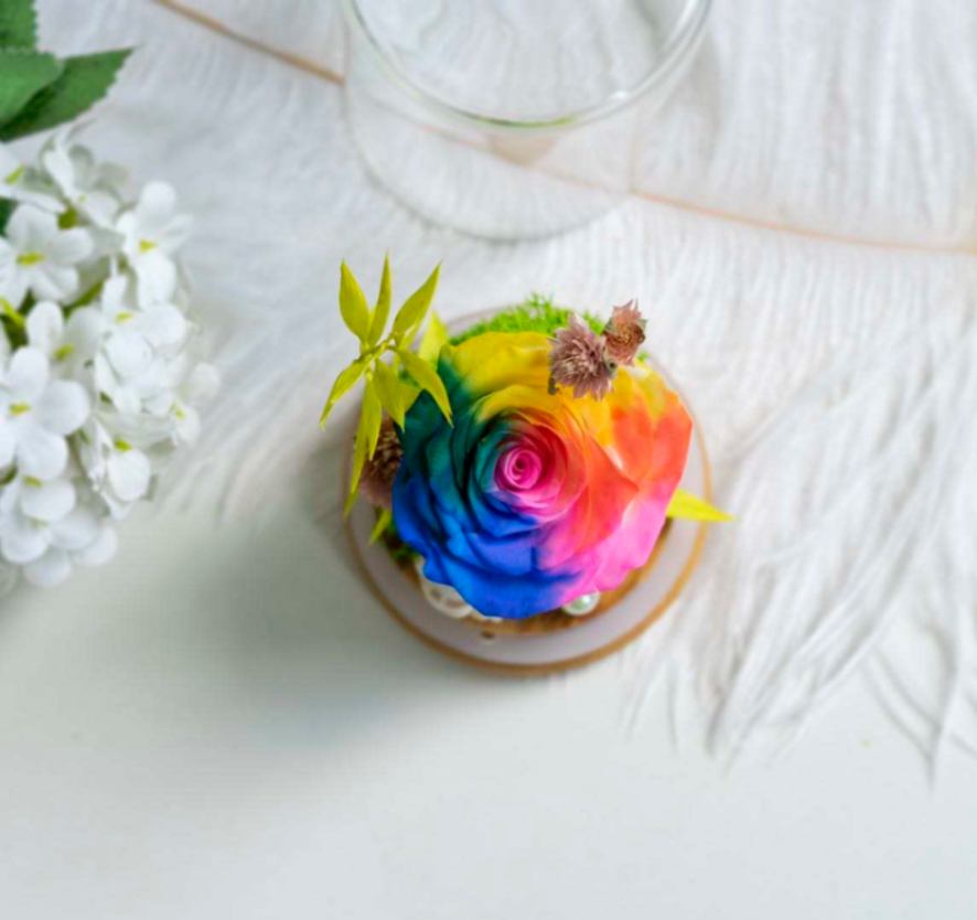Radiance Rose Dome_2
