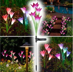 Outdoor Solar Garden Light