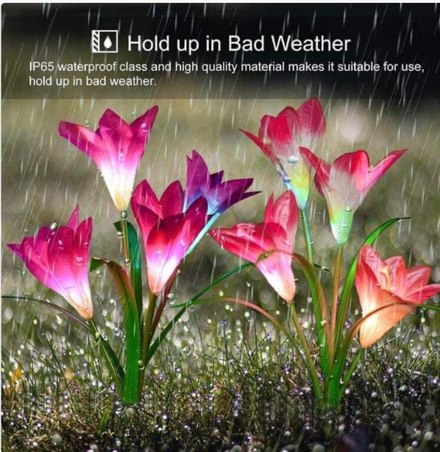 Outdoor Solar Garden Light_3