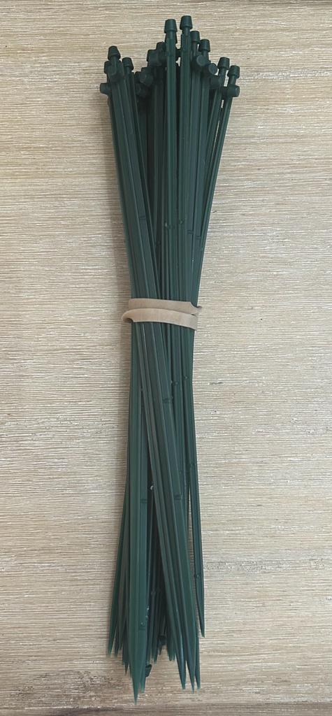 Plastic Sticks 20 @ R1,50 ea_0