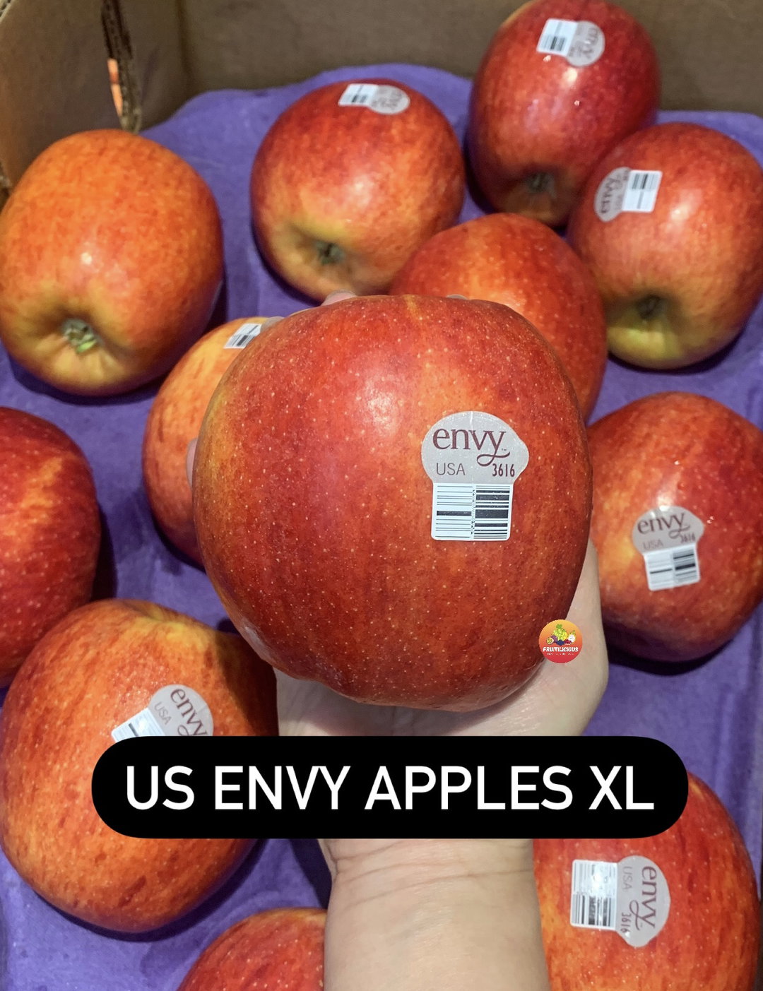 US ENVY APPLES XL