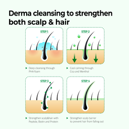 Some By Mi Cica Peptide Anti Hair Loss Derma Scalp Shampoo 285ml