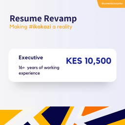 C.V Revamp :: Executive  (16+ years of working experience)
