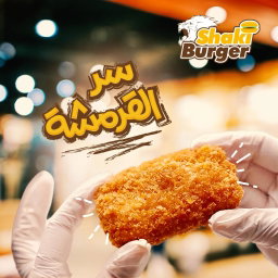 10 قطع مسحب دجاج