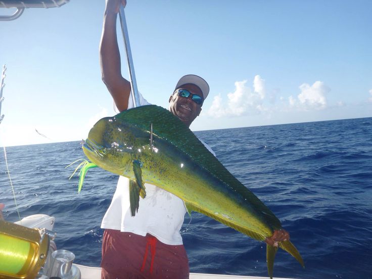 Private Deep Sea Fishing Charter 4h_1