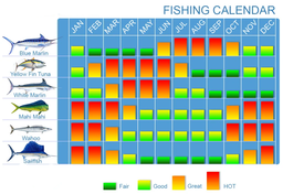 Private Deep Sea Fishing Charter 4h
