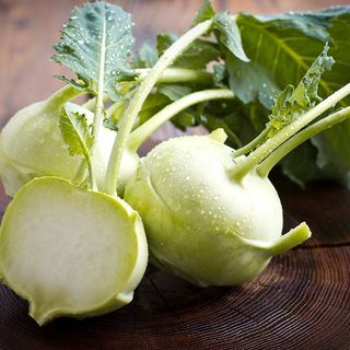 kohlrabi (ol kobi)_0