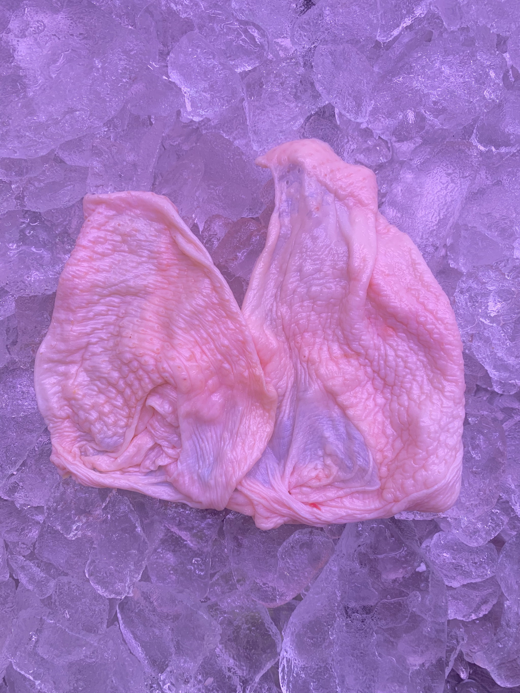 Chicken Skin 鸡皮 _1