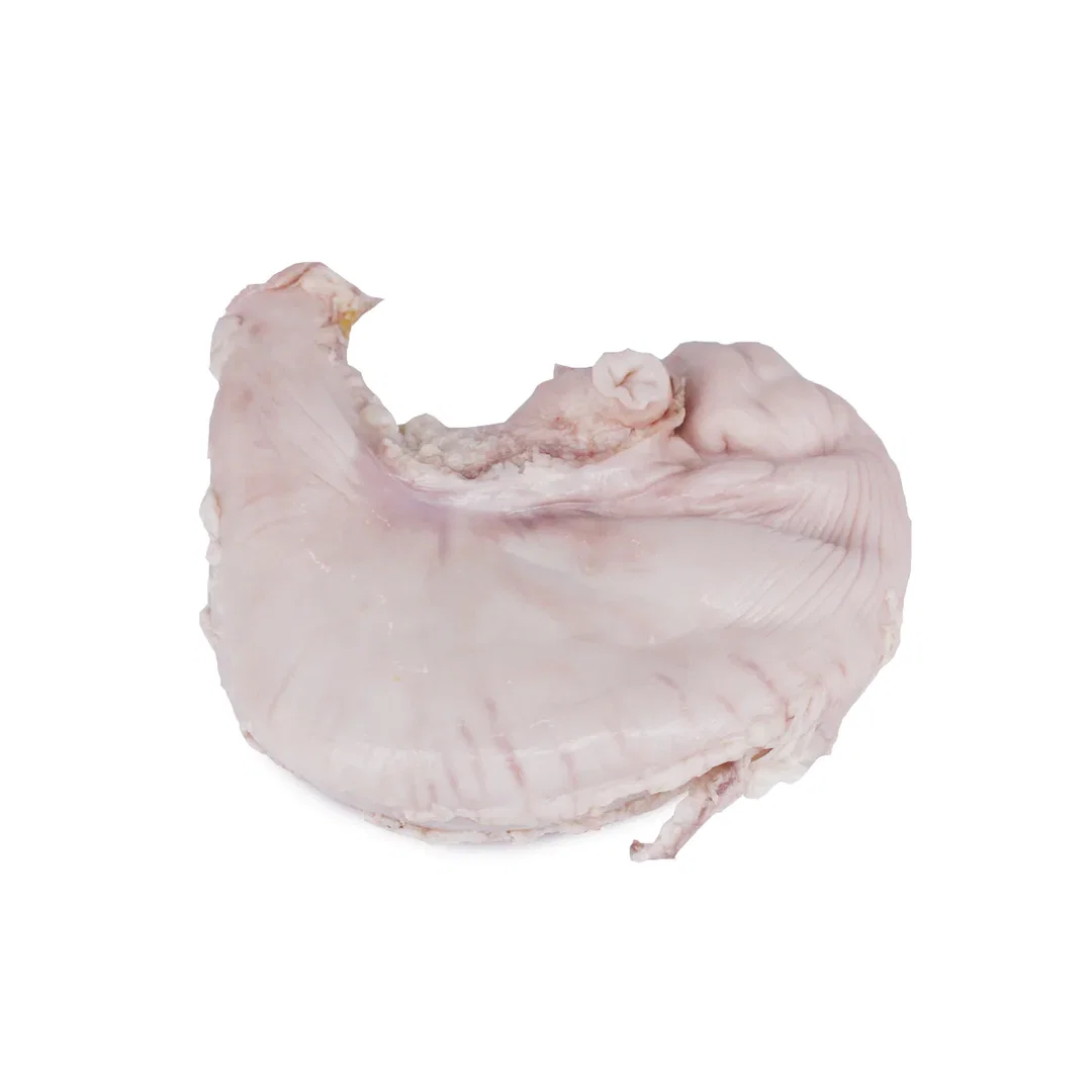 Fresh Pork Stomach 猪肚