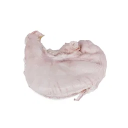 Fresh Pork Stomach 猪肚
