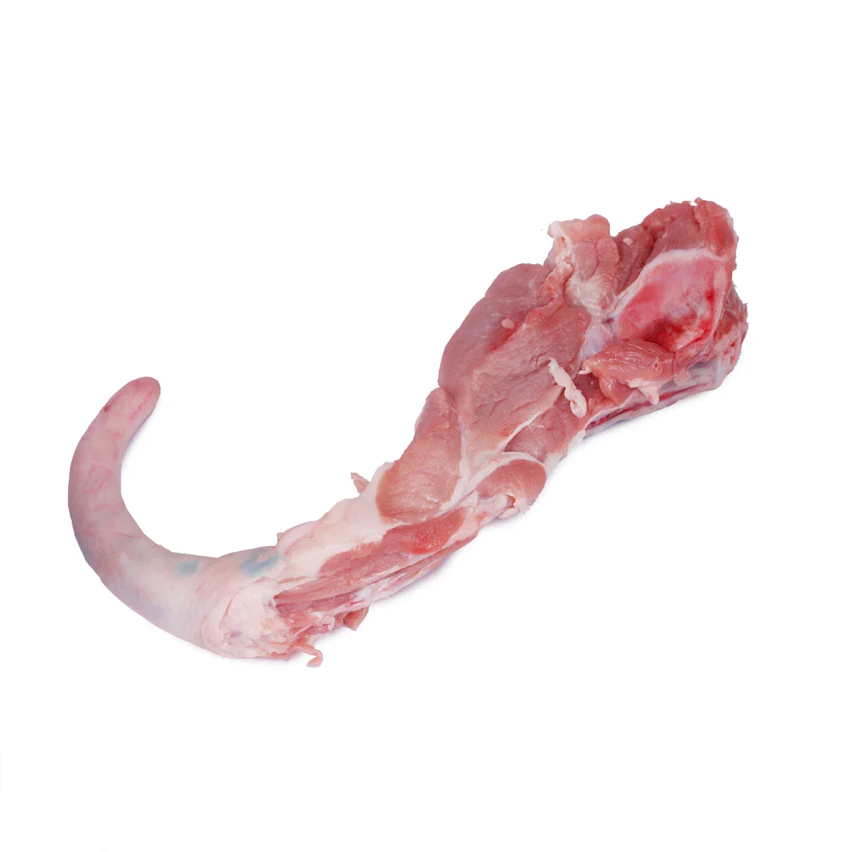Fresh Pork Tail 猪尾_0