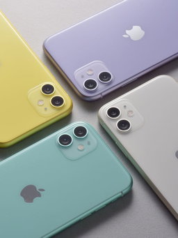 Brand New iPhone 11