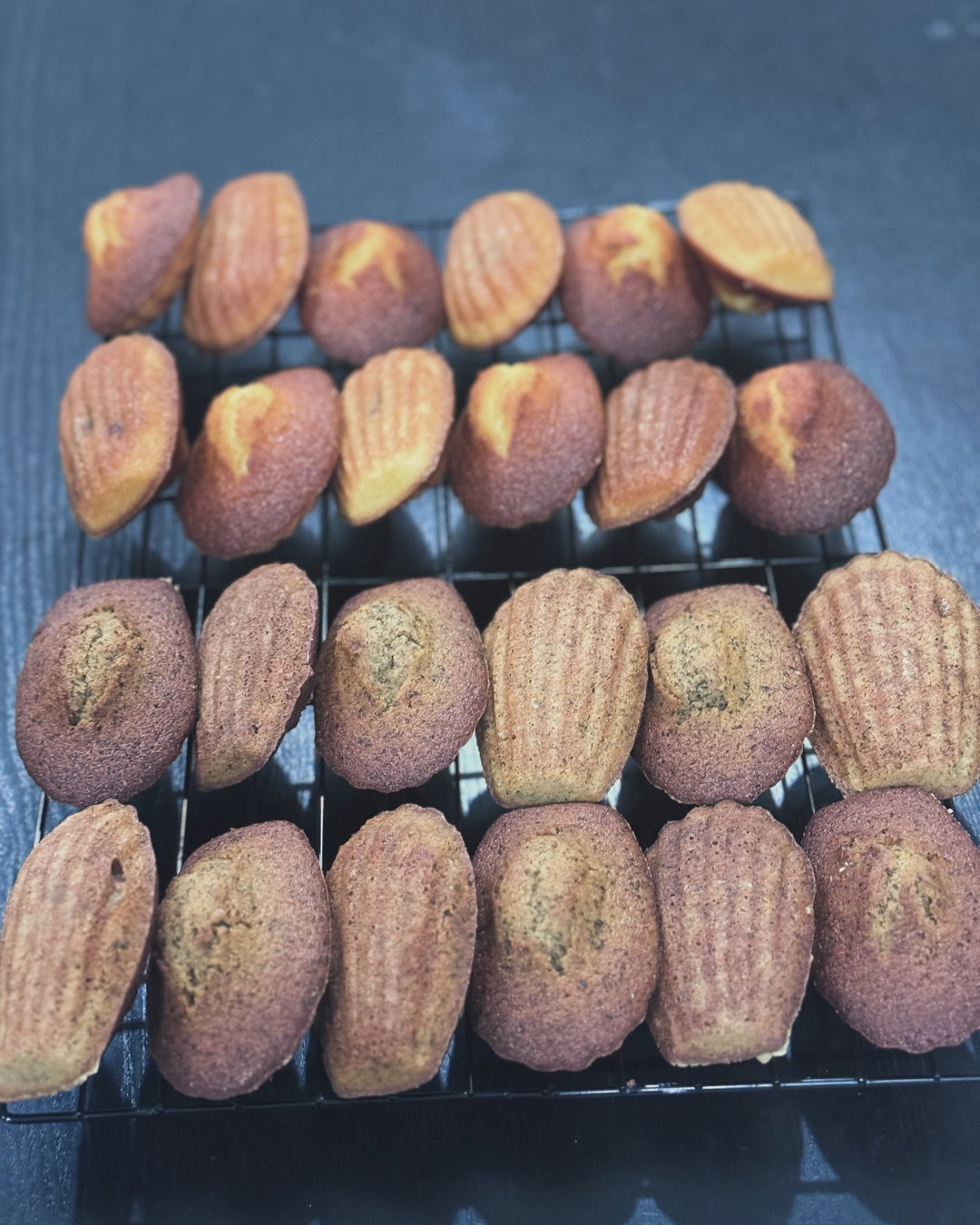 Madeleine 
