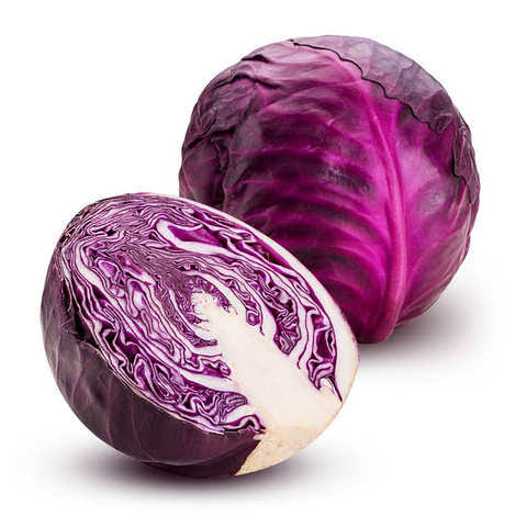 Red Cabbage (Kabichi Nyekundu)_0
