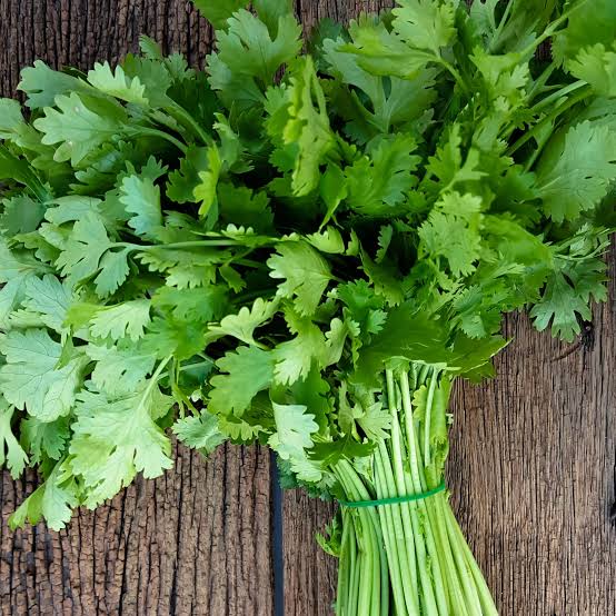 Coriander (Giligililani)_0