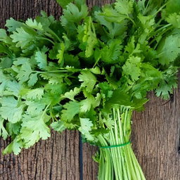 Coriander (Giligililani)