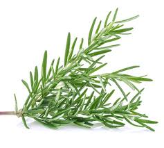 Rosemary _0