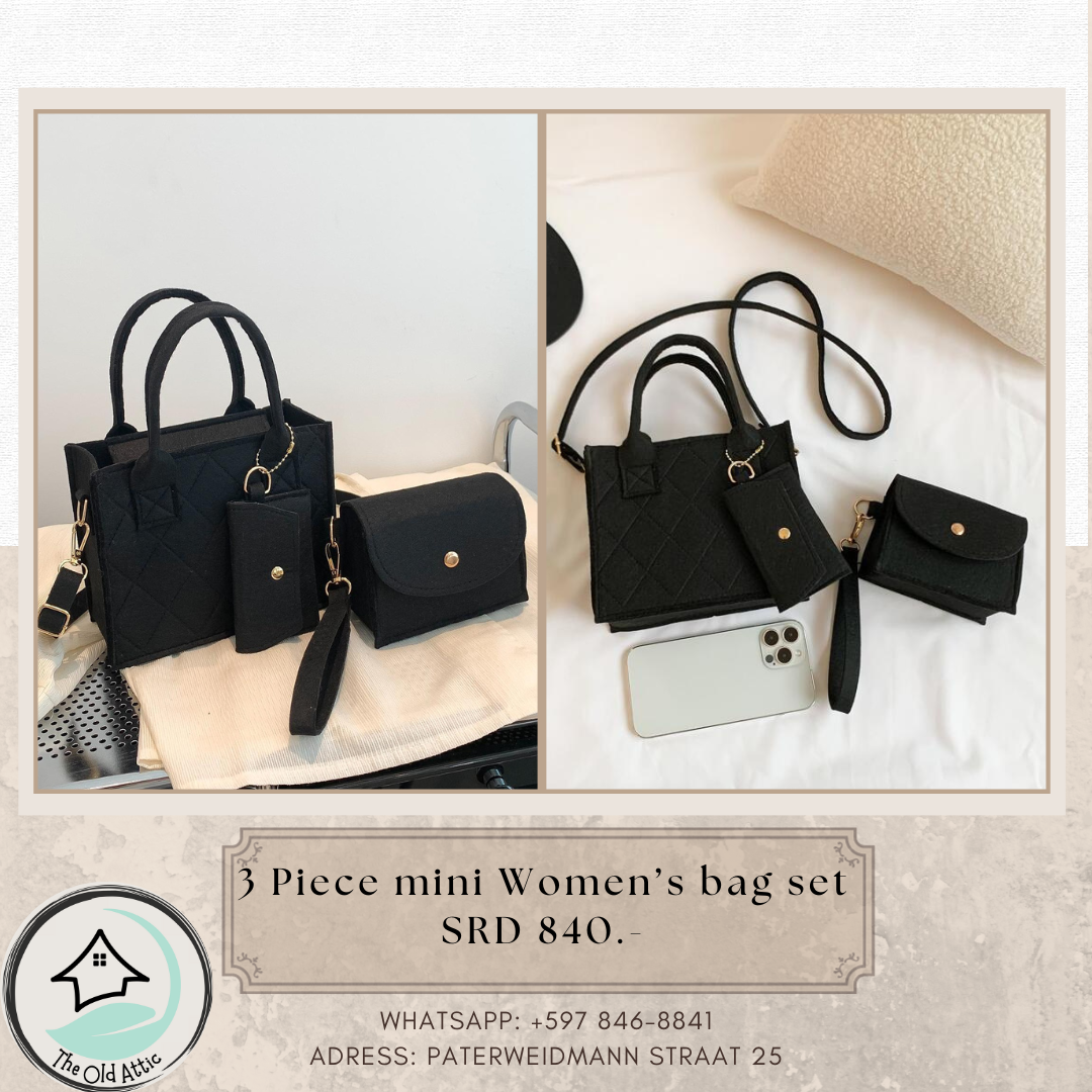 3 piece Small Women's Purse set_0