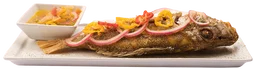 Red Snapper