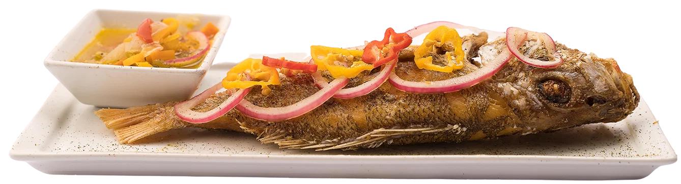 Red Snapper_1