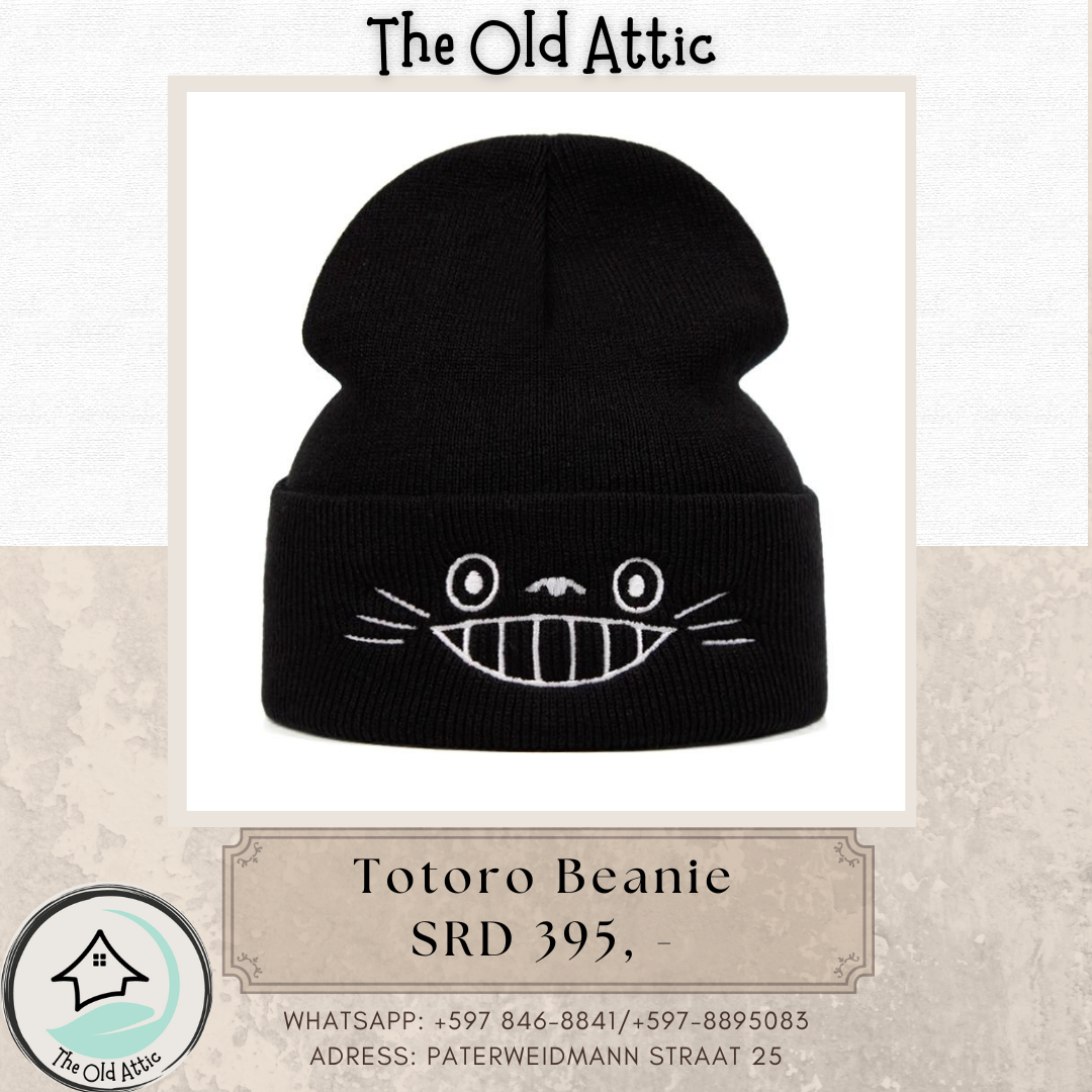 Totoro Beanie