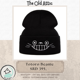 Totoro Beanie