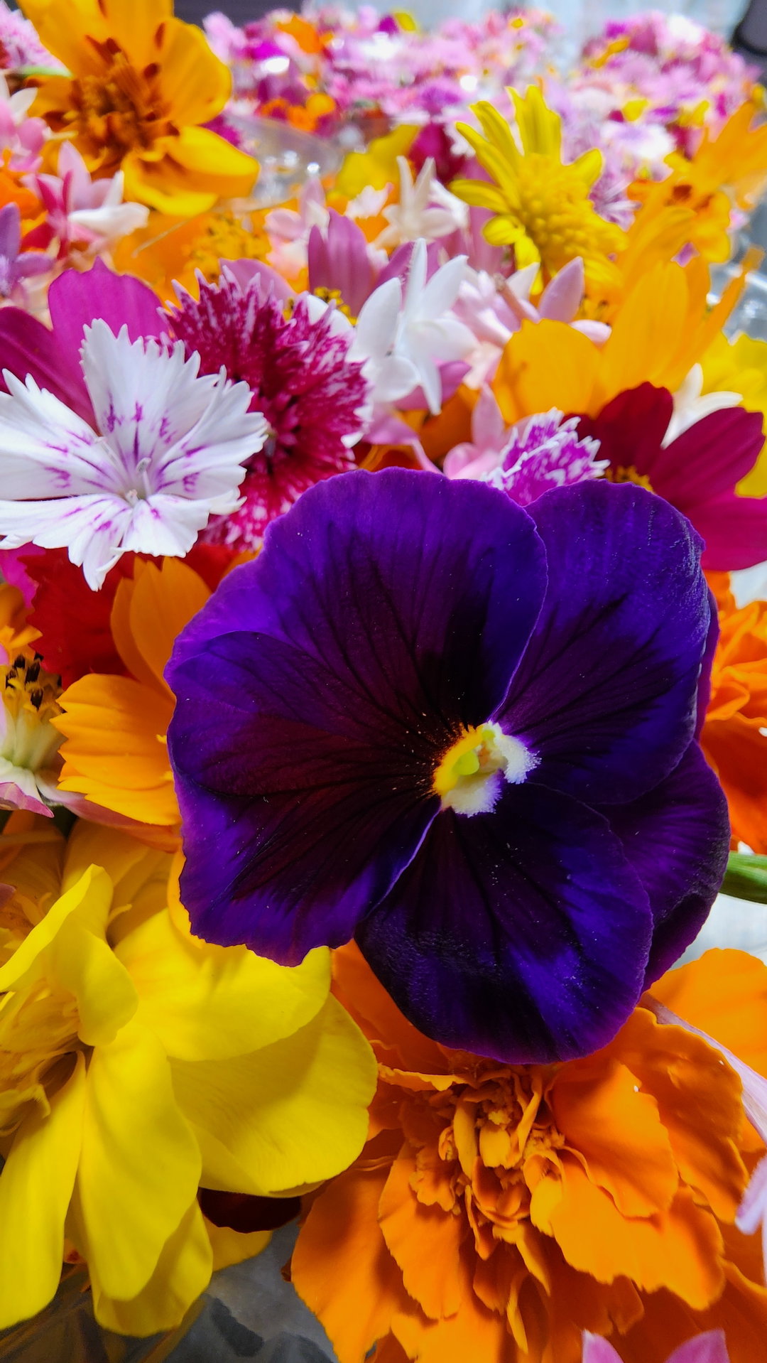 Flores Mix Pequeña