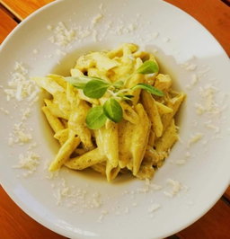 Penne pollo & pesto