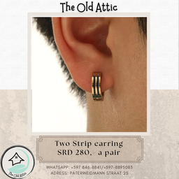 Two Strip earring 