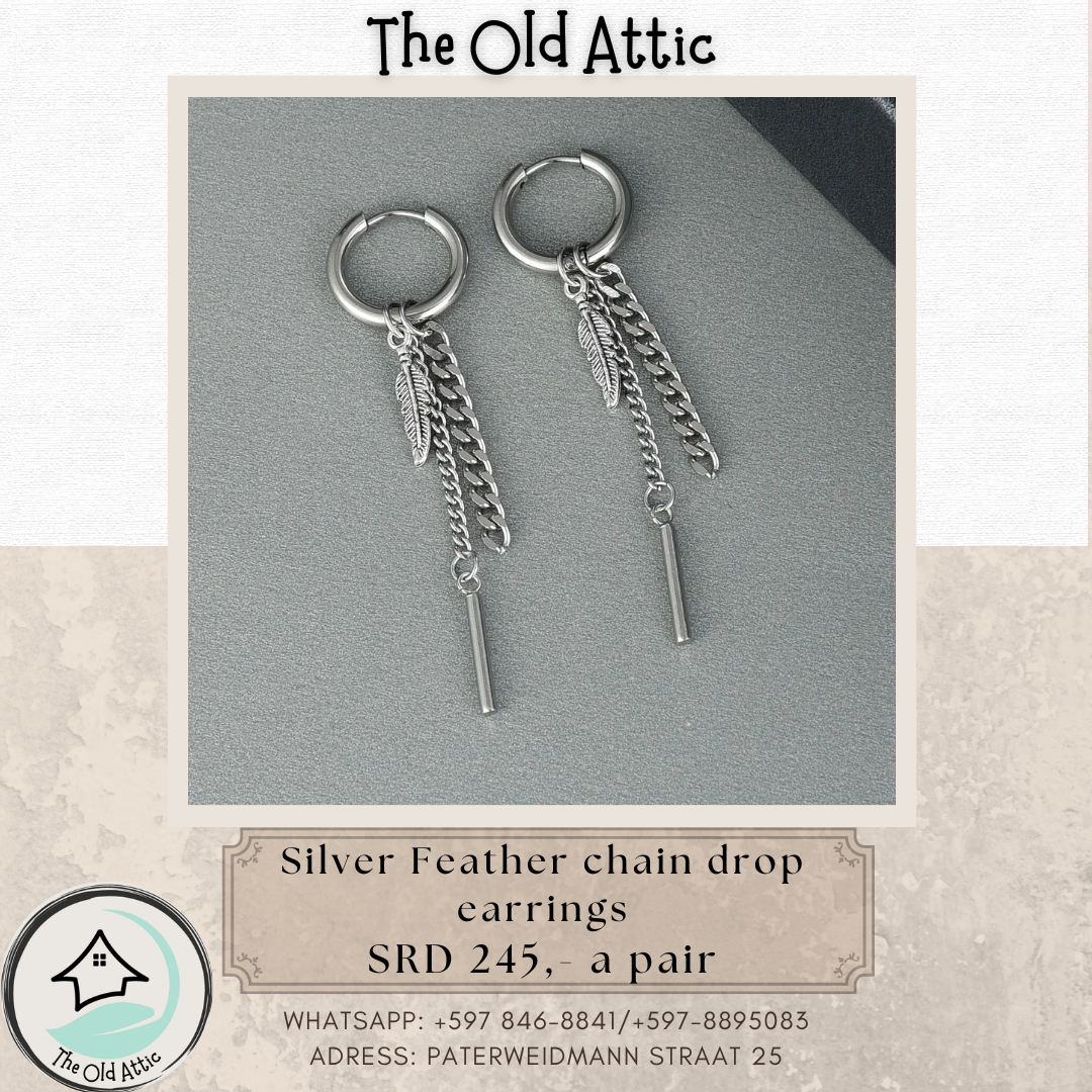 Silver Feather Chain Drop earrings _0