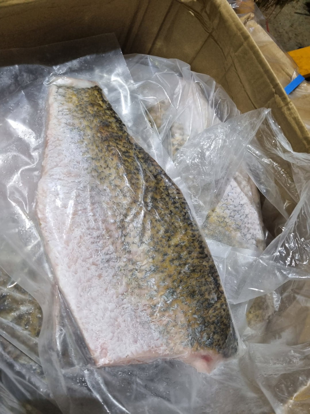 Sea Bass Fillet