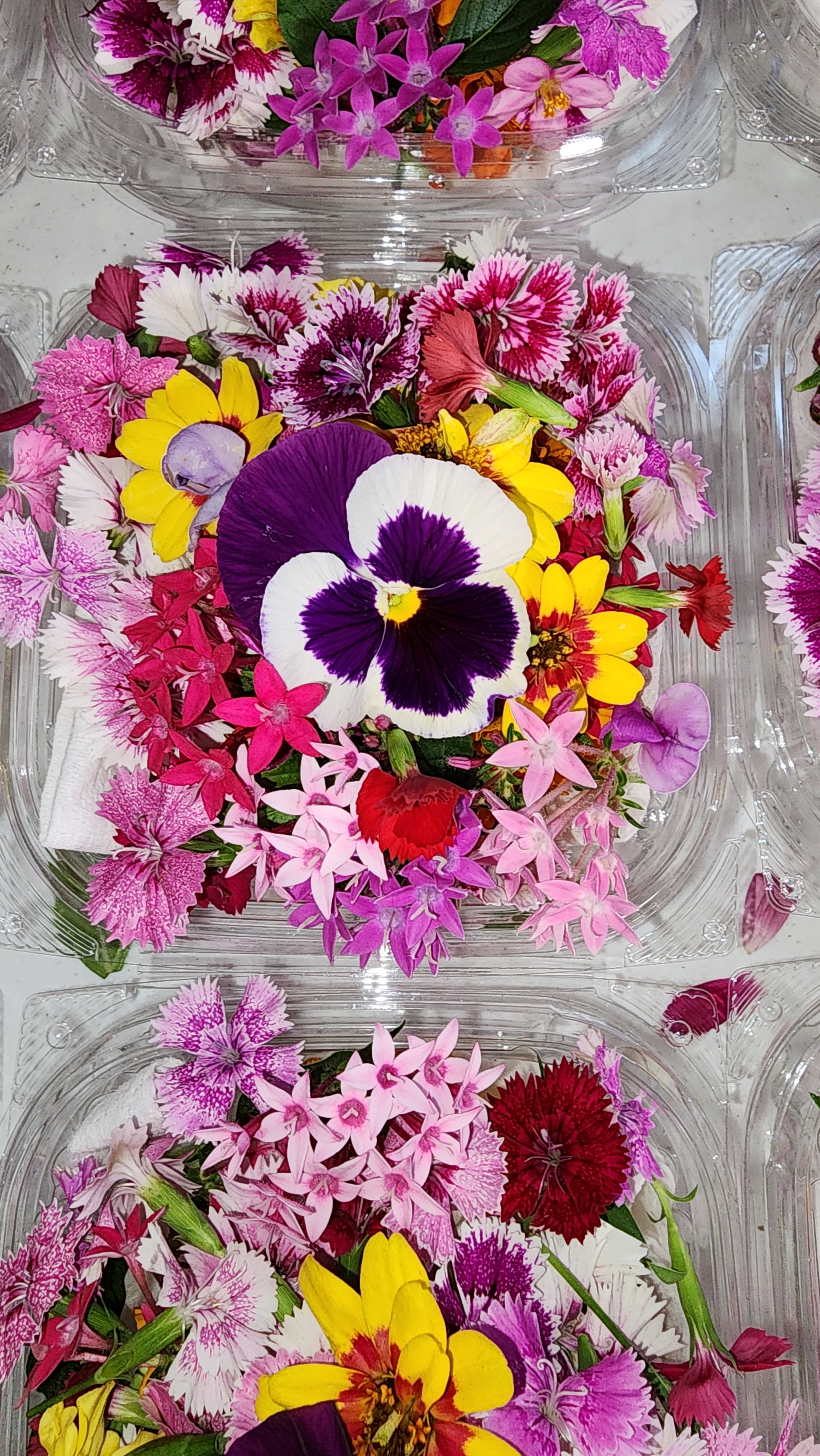 Flores Mix Pequeña_1