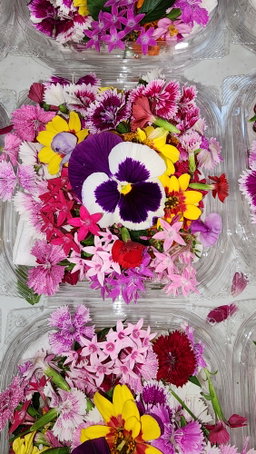 Flores Mix Pequeña