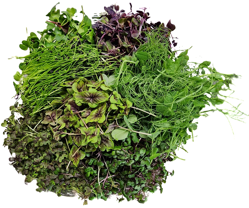 Garnish Mix (Microgreen Mix)