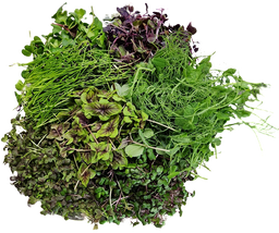 Microgreens