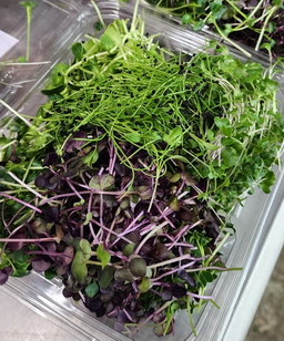 Garnish Mix (Microgreen Mix)