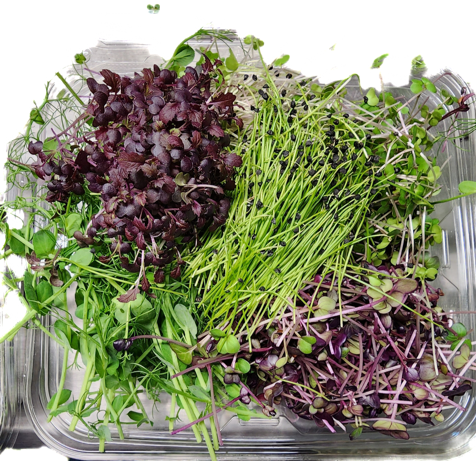 Garnish Mix (Microgreen Mix)_2