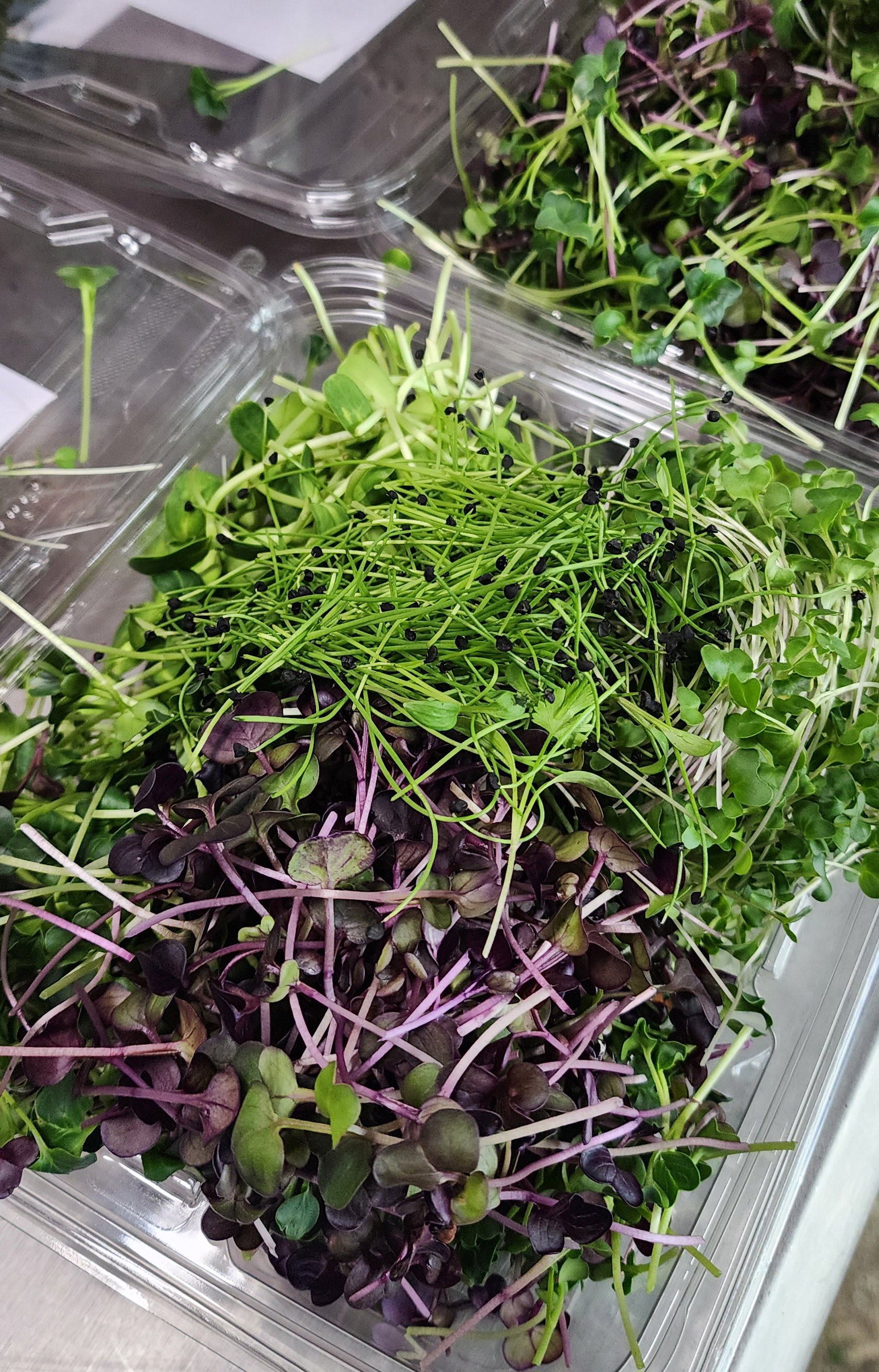 Garnish Mix (Microgreen Mix)_3