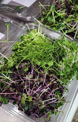 Garnish Mix (Microgreen Mix)