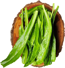 Fresh Herbs