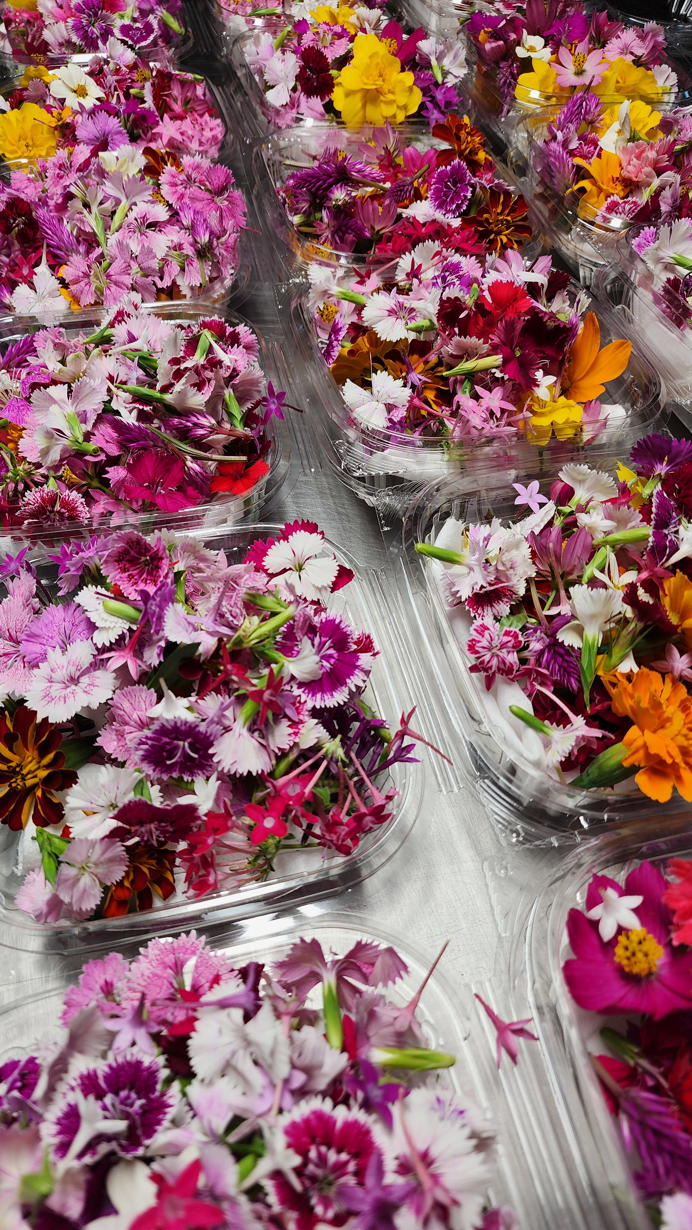 Nuestras flores son un festín visual y gustativo para chefs y foodies, realzando platos con sus vibrantes colores y sabores únicos._0