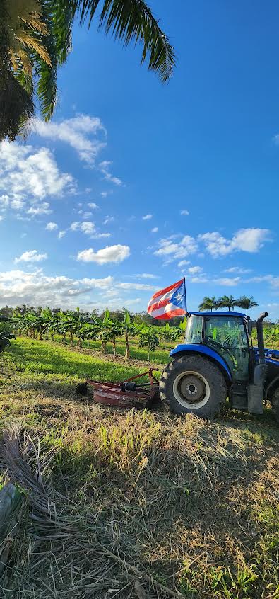 Nuestra Finca Agrícola en Toa Baja P.R_0