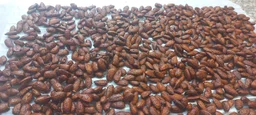 Chai Almonds 50g