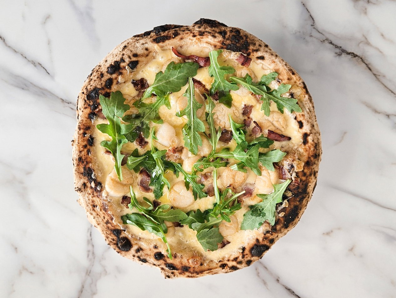 P11 SCALLOPS BIANCA_0