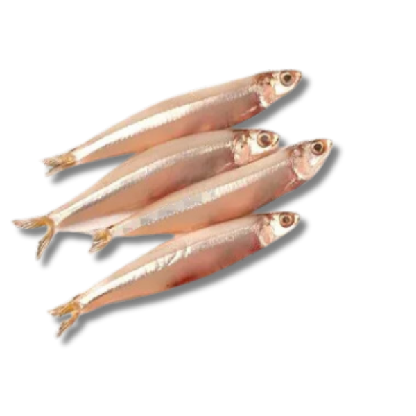 Handella Fish_0