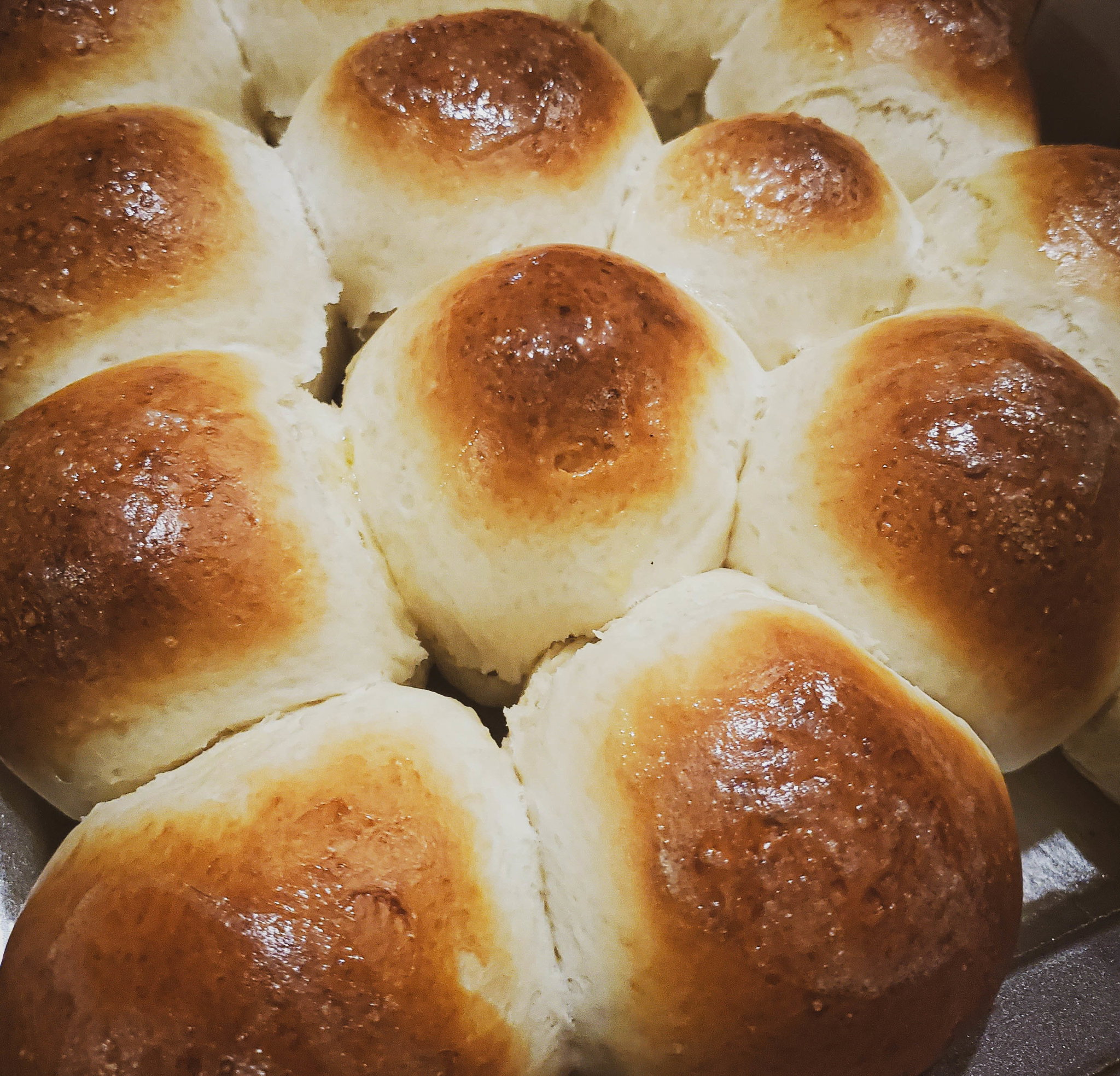 Dinner Rolls - 1 Dozen_1