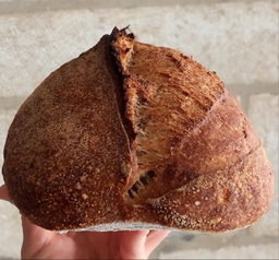 Whole wheat sourdough bread خبز الساوردو (القمح الكامل)
