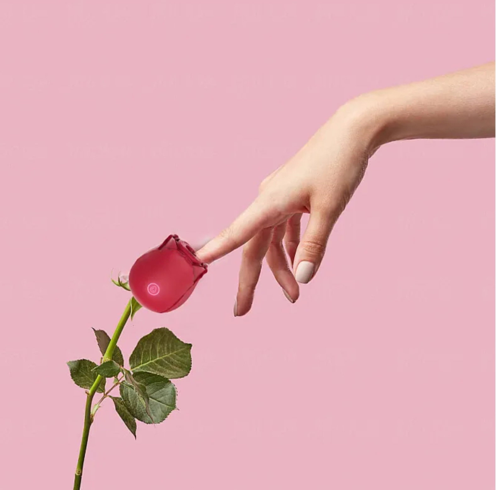 Rose Vibrator_2
